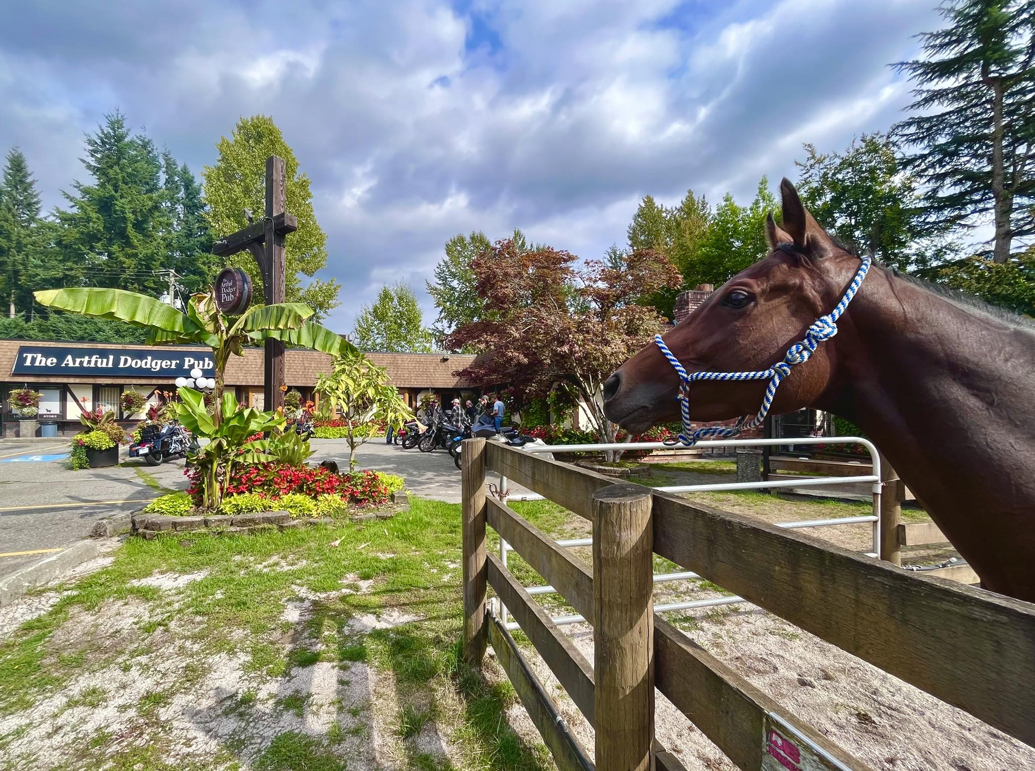 489857217 1208229464646006 7770283412655677047 N