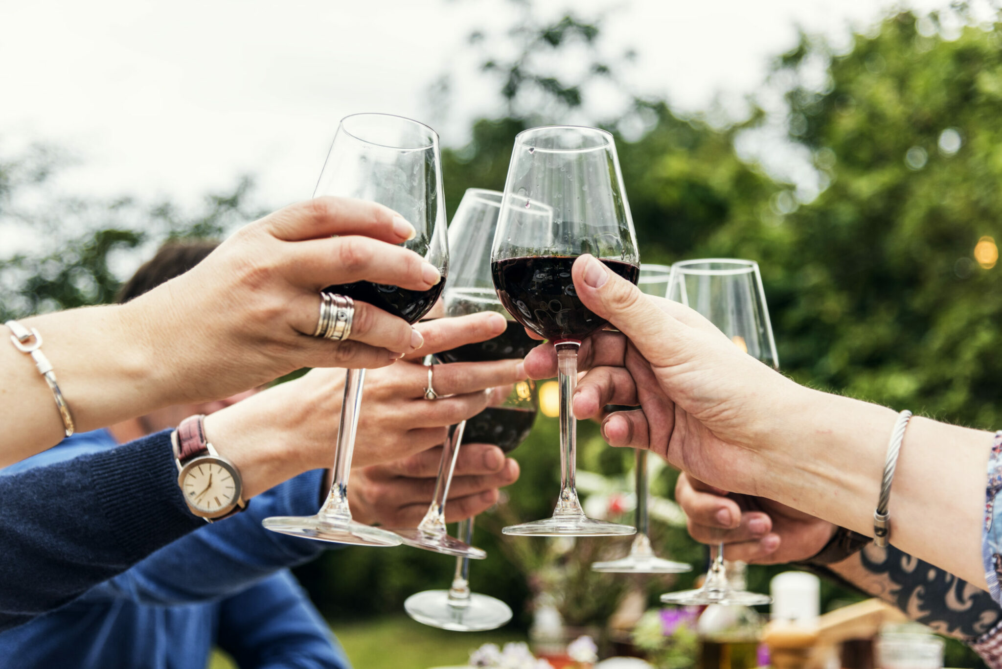 Group Of People Toasting Wine Glasses