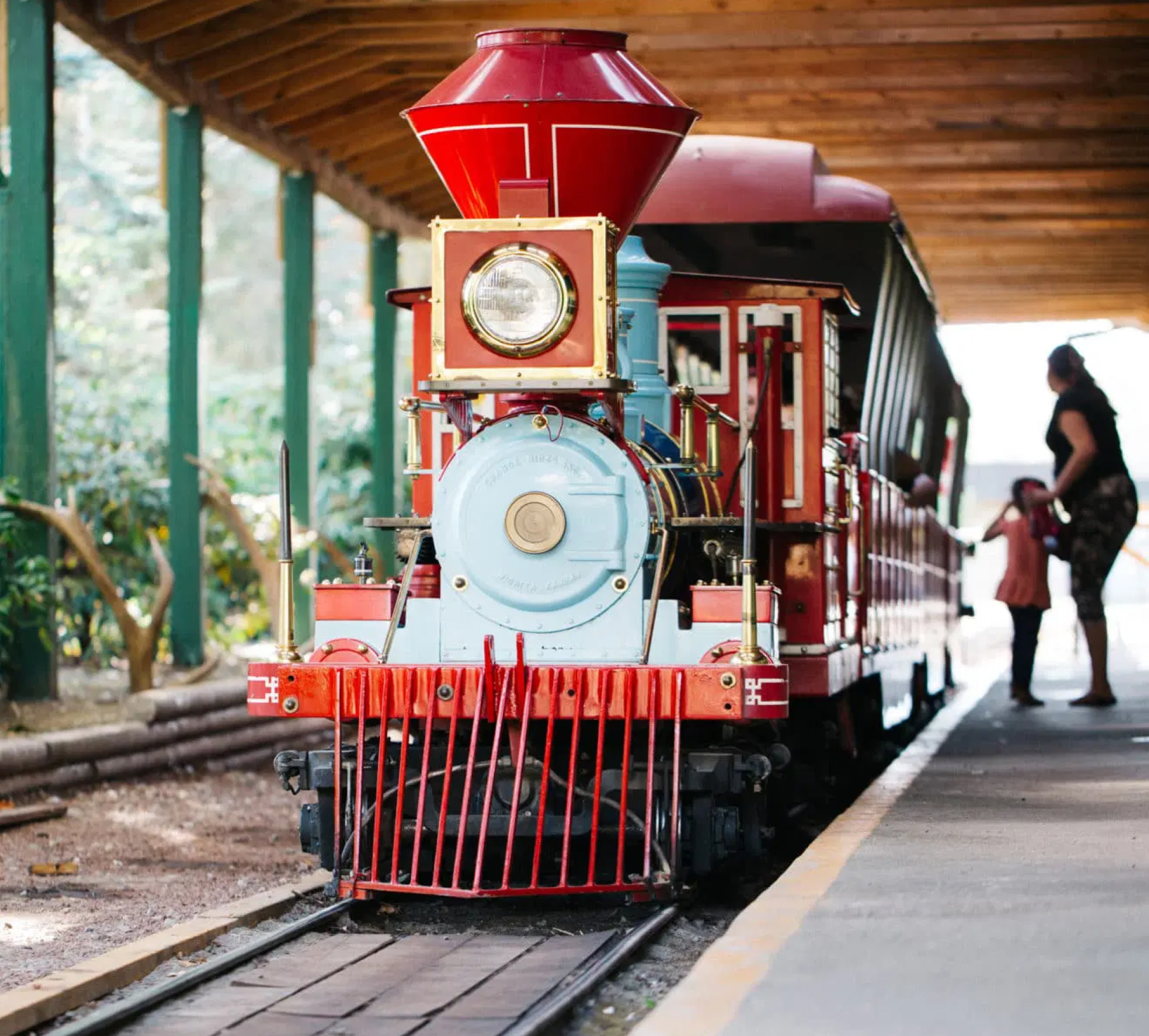 Langley Zoo Train
