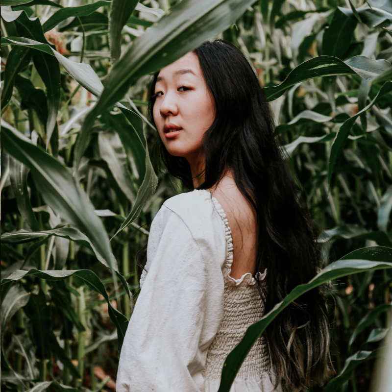 Person In Dress In Corn Field
