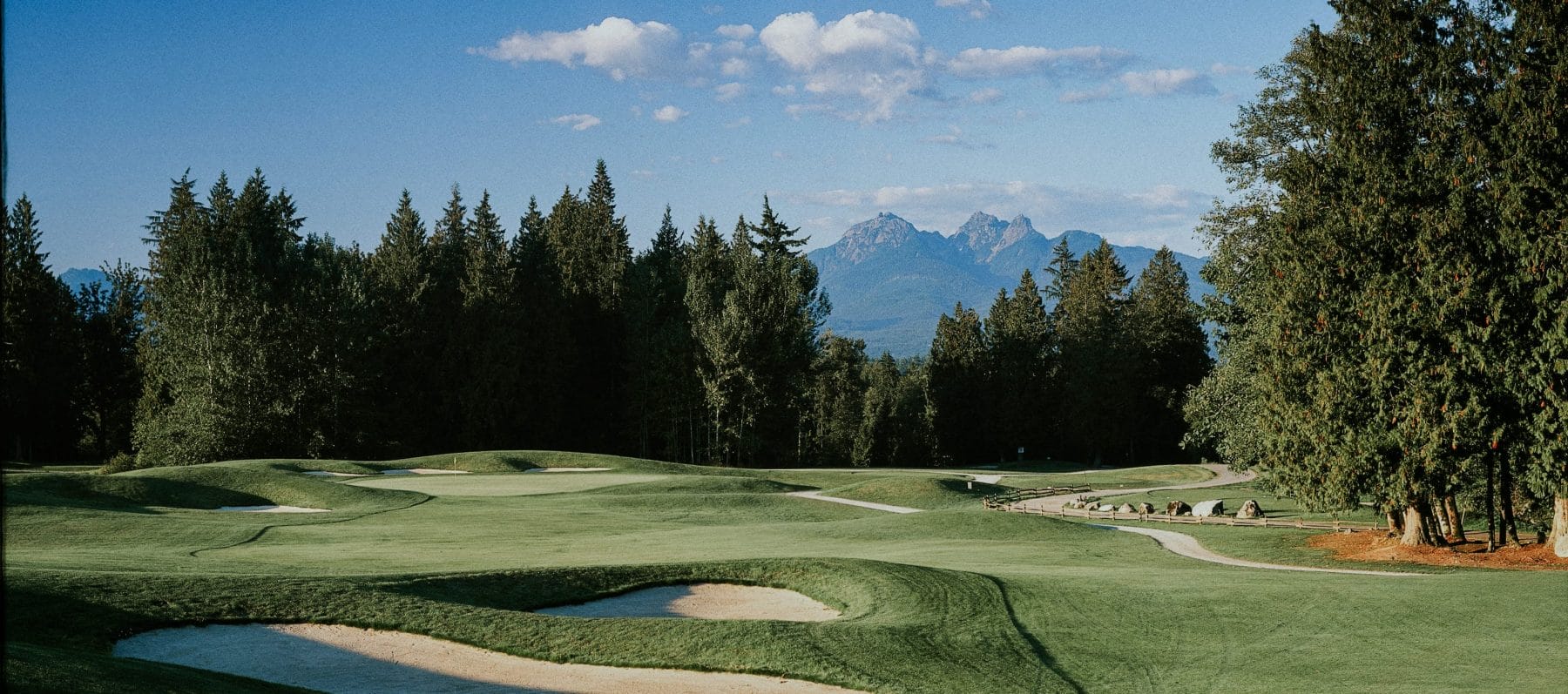 Walnut Grove Redwoods