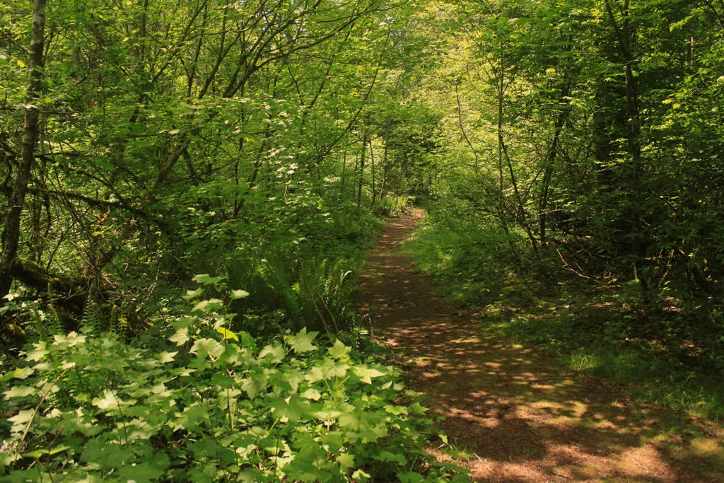 Campbell Valley Regional Park 1